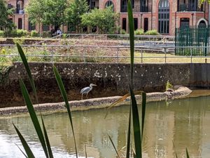 Photo 22- click for photo gallery